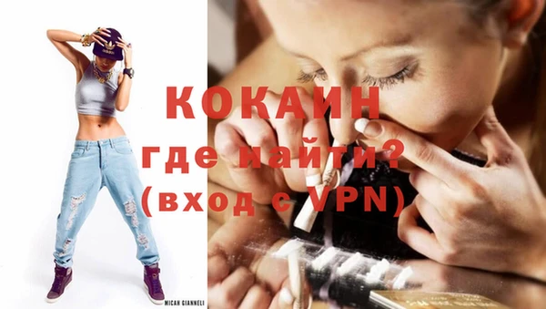 mix Ельня