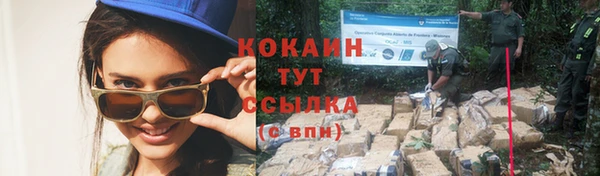 mix Ельня