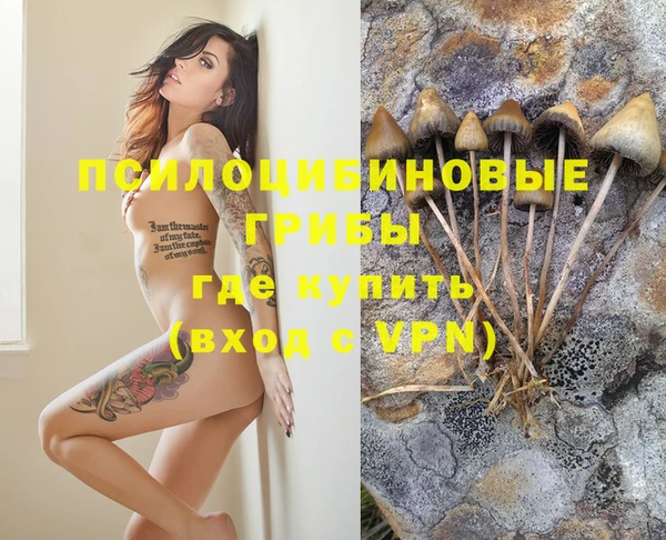 mix Ельня