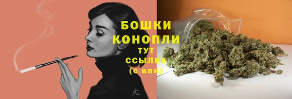 MESCALINE Елизово