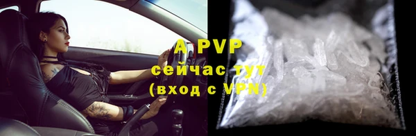 MESCALINE Елизово