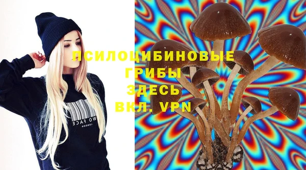 MESCALINE Елизово