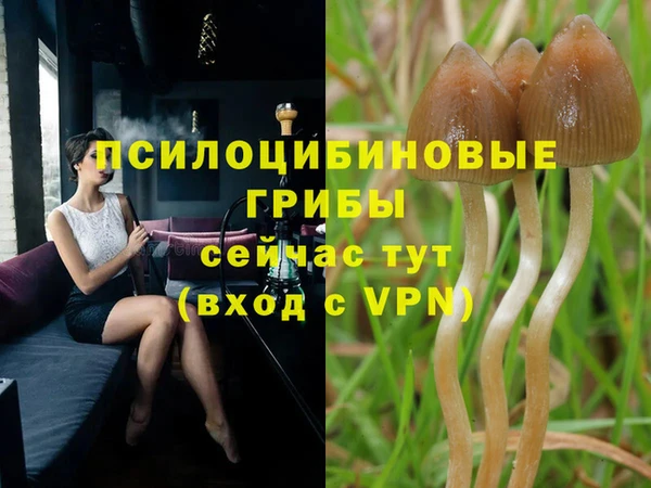 MESCALINE Елизово