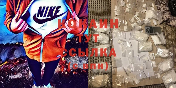mix Ельня
