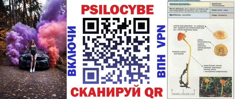 Купить закладки  Дегтярск  Псилоцибиновые грибы прущие грибы 